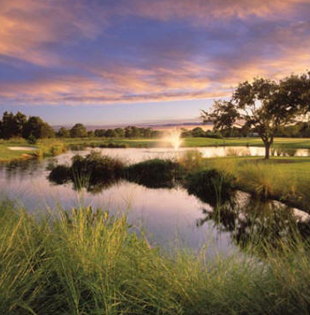 Belleview Biltmore Golf Club